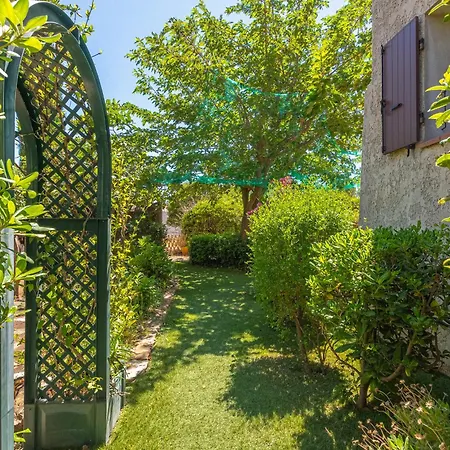Provencale - Sunb&b - * 滨海拉塞讷